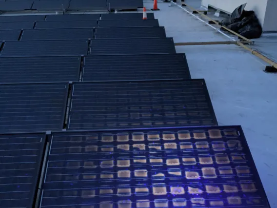 PV fluorescent image